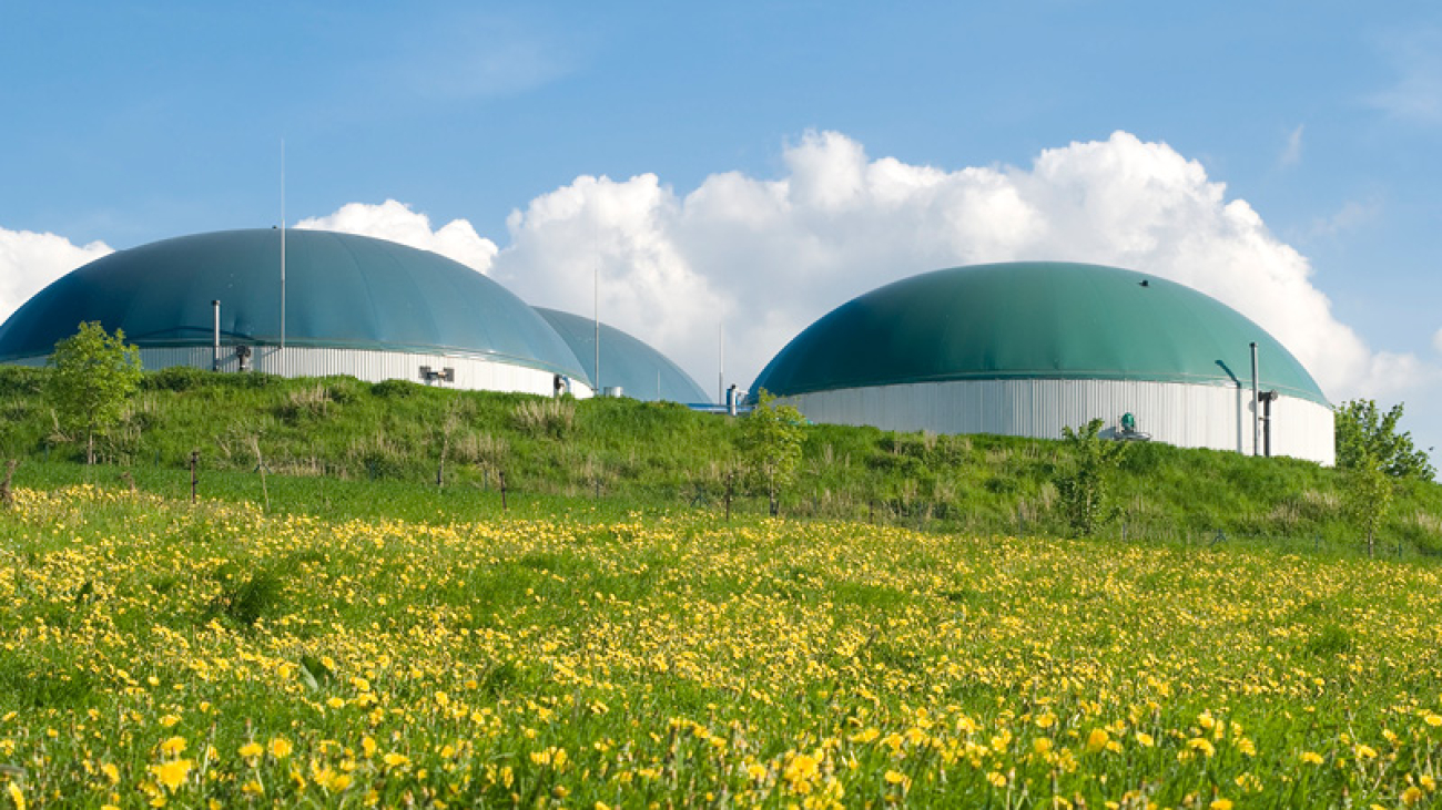 biogazownia